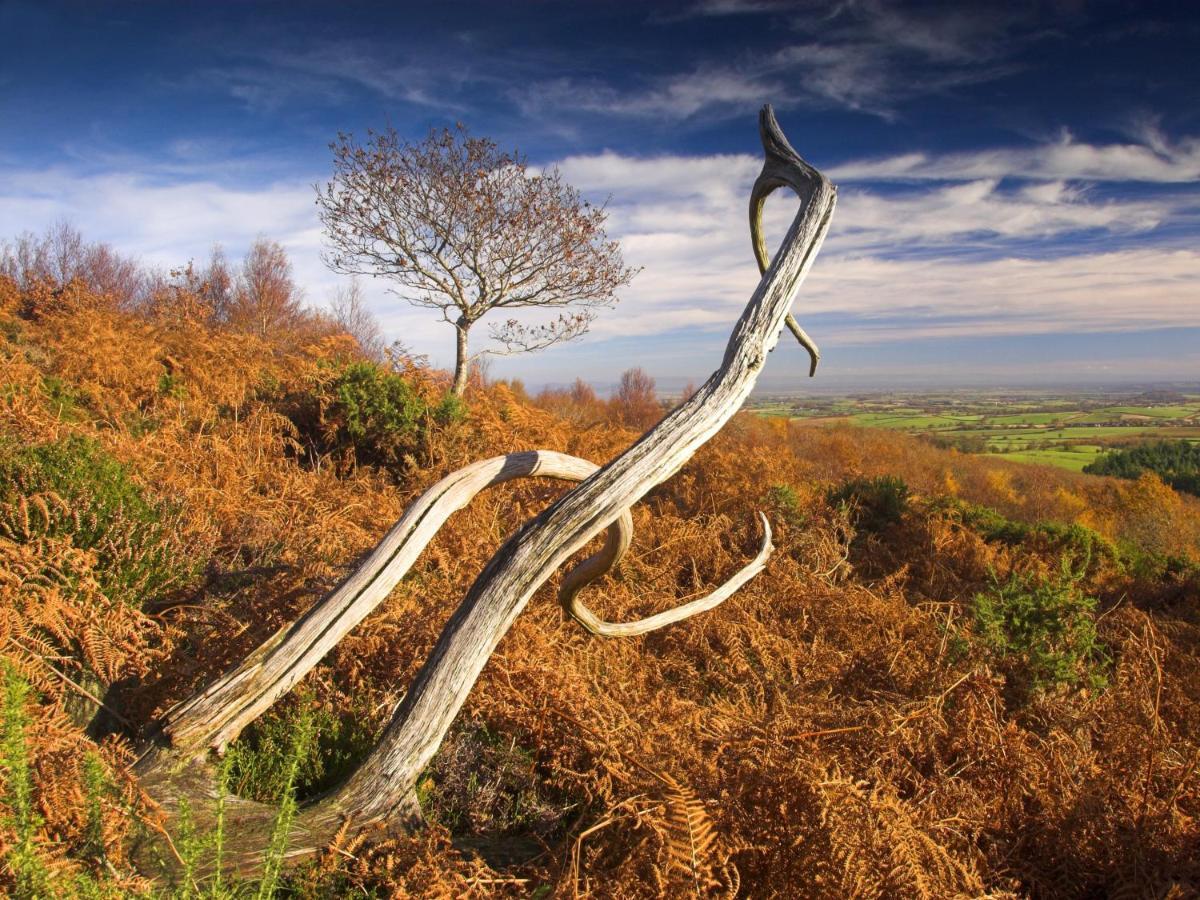 The Hood Arms Ξενοδοχείο Kilve Εξωτερικό φωτογραφία